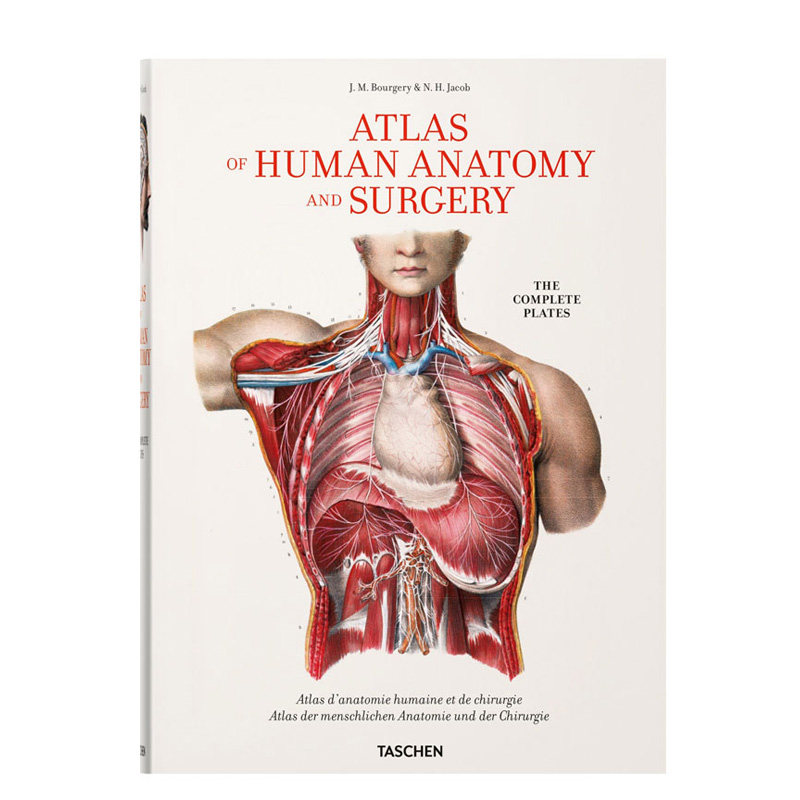 【预订】TASCHEN 布尔热里:人体解剖和手术图谱 Jean Marc Bourgery 英文原版艺术画册科普医学手术绘画插画进口图书