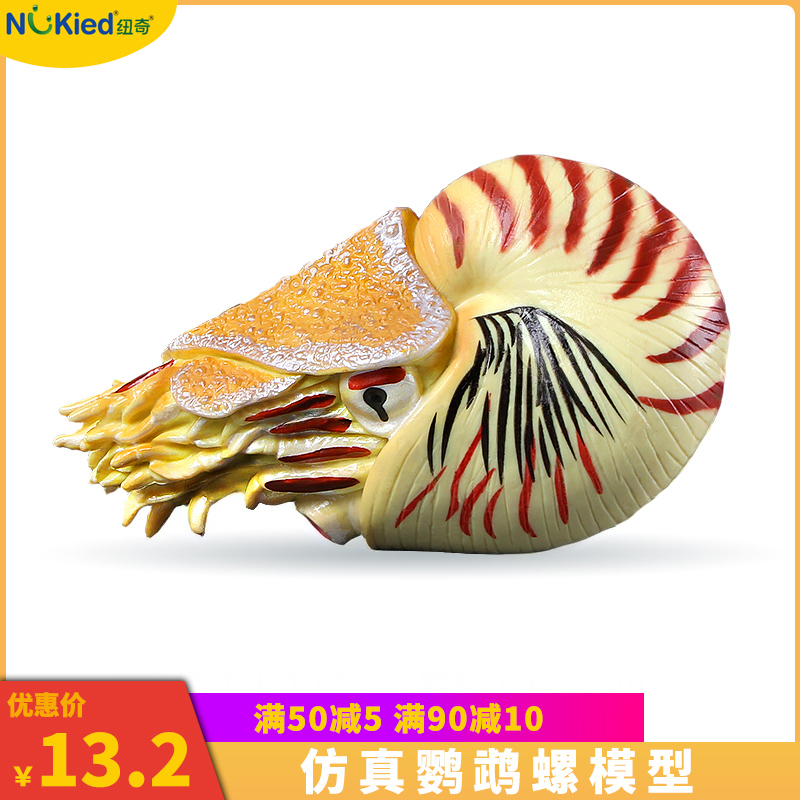 仿真远古海洋生物模型鹦鹉螺玩具寄居蟹菊石海螺儿童科教认知礼物