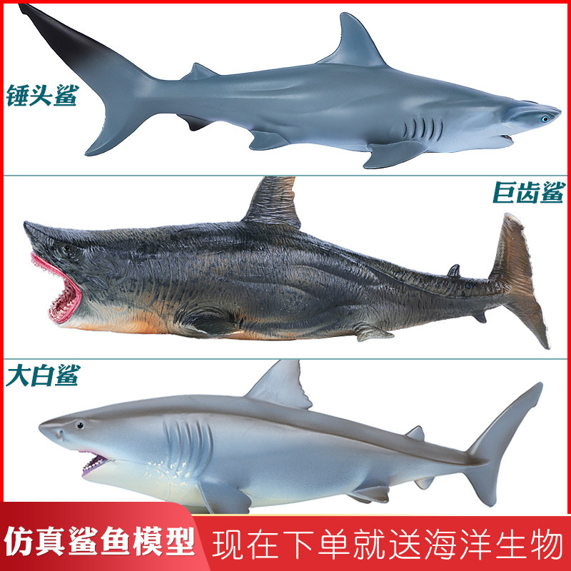 仿真海洋生物型巨齿鲨玩具鲨鱼锤头鲨大白鲨动物模型儿童男孩礼物