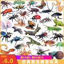 仿真昆虫玩具蜜蜂蚂蚱蜻蜓壁虎天牛蟋蟀蜘蛛蝴蝶动物模型儿童礼物