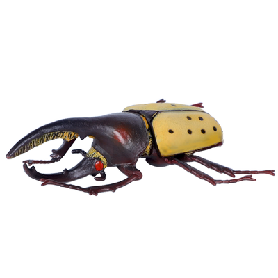 仿真形虫独角仙儿童认知动物模型