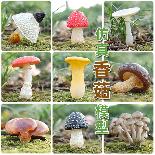 仿真香菇塑胶模型玩具