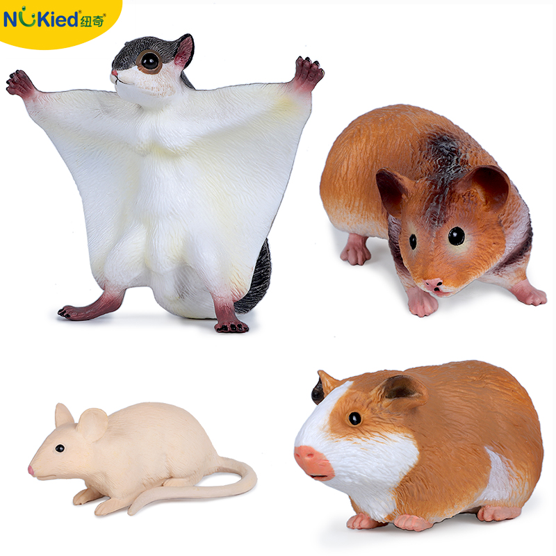 荷兰猪飞鼠实心科教仿真动物模型