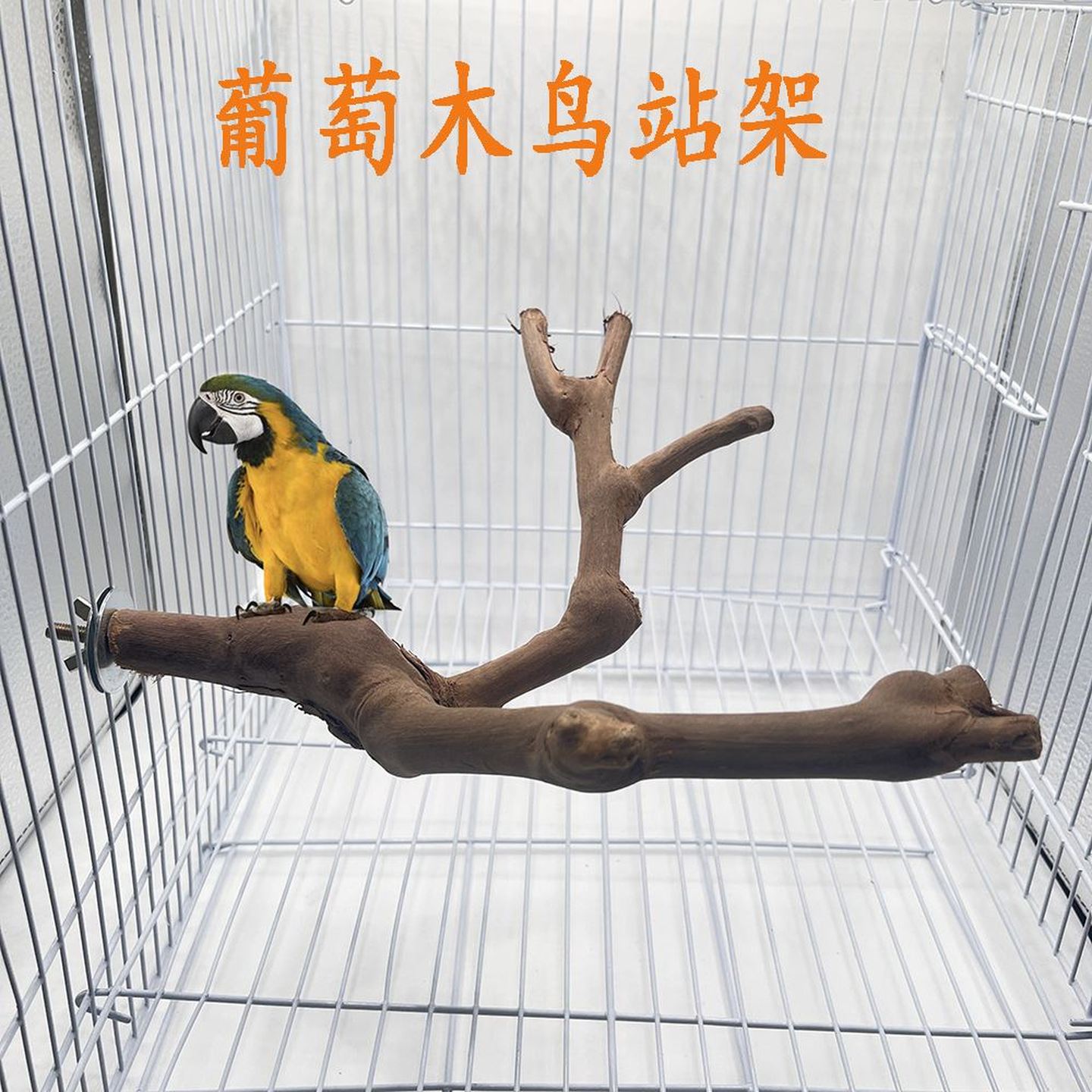 和尚鹦鹉站架玩具双杈葡萄木鸟站架鹦鹉鸟类栖息磨爪鸟站杆带杈葡