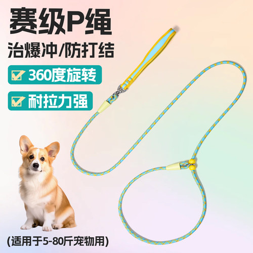 qrowtail舒适解放双手狗牵引绳