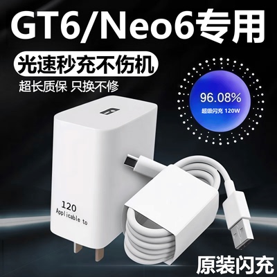 适用真我GT6/Neo6充电器头线原装