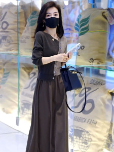 针织女式长袖连衣裙2025春秋季新时尚假两件套拼接V领女式中长裙
