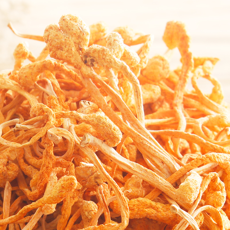 膳太100g北虫草广东干货煲汤