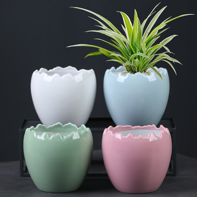 盆花盆睡莲专用鱼缸陶瓷创意养的种塑料缸碗玻璃器皿大号水培