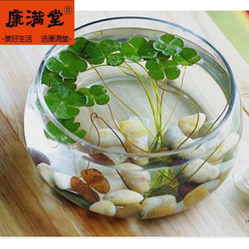 水耕栽培 ガラスの花瓶 透明 大きいサイズ 水仙盆地 蓮の鉢のボウル スイレン 植木鉢 カメ 水槽 水の植物 道具 中国仕入れ Com 水耕栽培 ガラスの花瓶 透明 大きいサイズ 水仙盆地 蓮の鉢のボウル スイレン 植木鉢 カメ 水槽 水の植物 道具 中国仕入れ Com