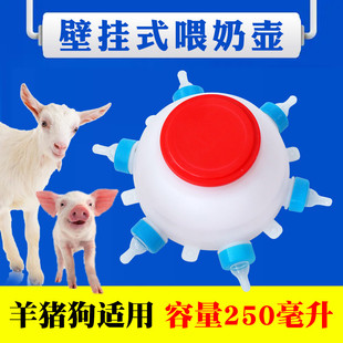 羊羔奶壶小猪多头喂奶器仔猪奶瓶兽用羔羊奶妈奶瓶小羊猪哺乳奶嘴