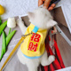春秋冬德绒特小号幼崽猫咪外出可牵引背心泰迪比熊宠物狗鹿犬衣服