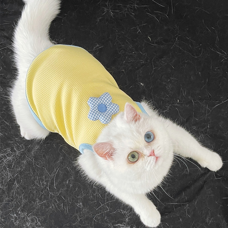猫咪狗狗衣服春夏宠物背心