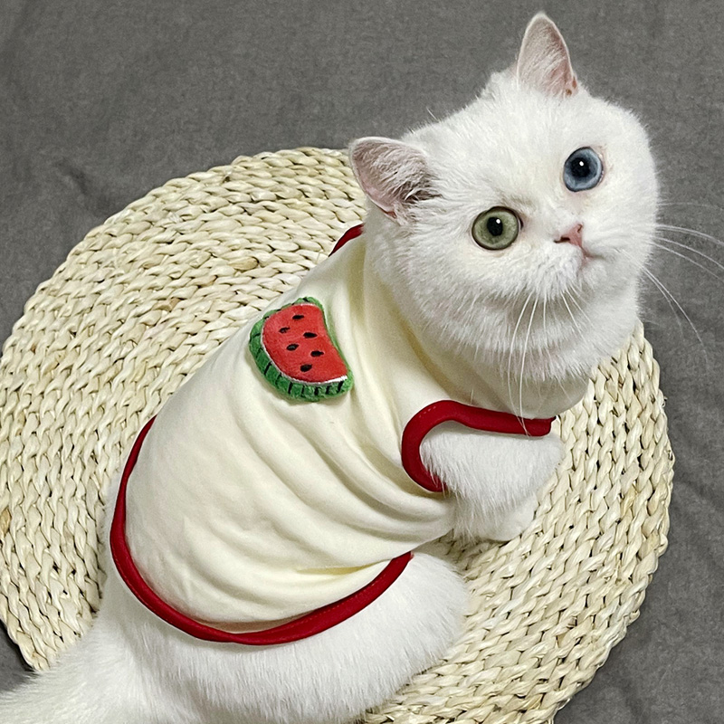 猫咪狗狗纯棉透气舒适防掉毛