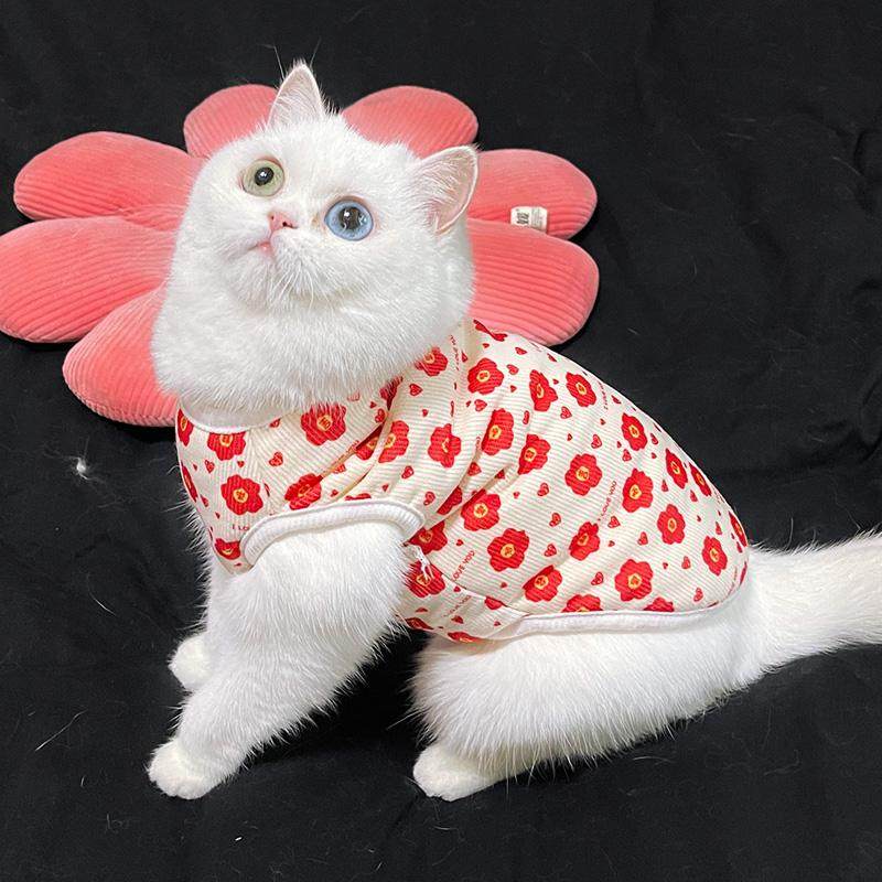 0-3月宠物幼猫奶狗加绒加厚可牵引小猫鹿犬冬季保暖喜庆新年衣服,宠物/宠物食品及用品,狗宠物服装/雨衣,淘宝优惠券,粉丝福利购,淘宝优惠卷