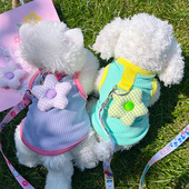 猫咪衣服春夏新款 宠物狗狗衣服幼犬奶猫可爱卡通可牵引背心防掉毛