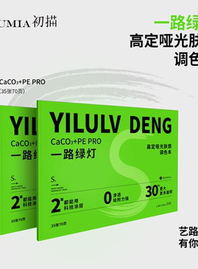 初描一路绿灯S调色纸美术生专用一次性免洗可撕可揭调色本色彩丙烯调色纸油画颜料水粉水彩调色板纸质调色盘