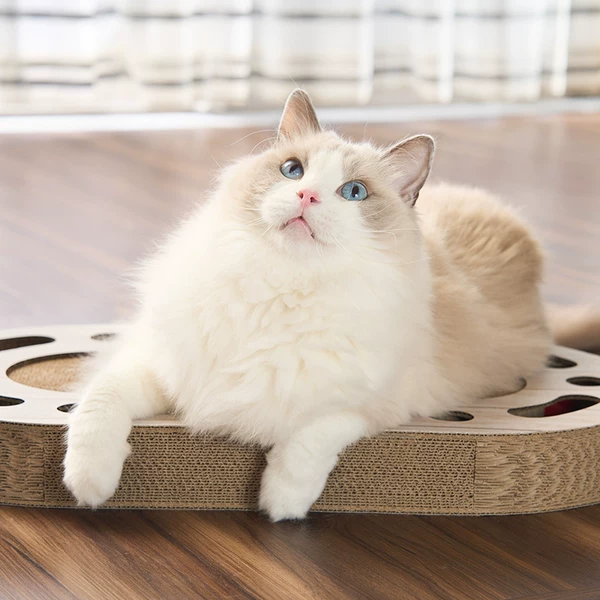 Товары от necosekai旗舰店