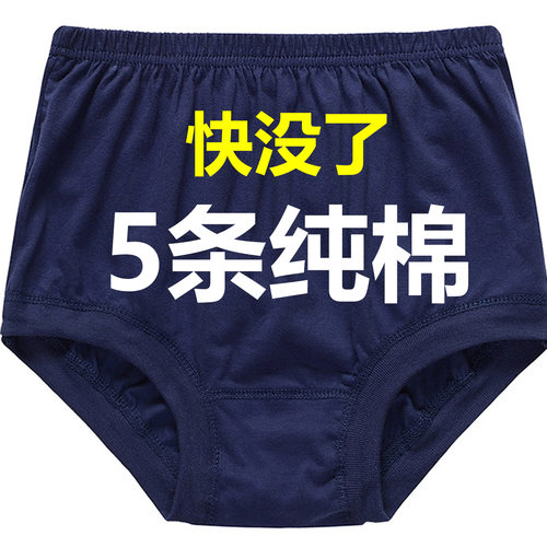 100%纯棉老人内裤男士高腰三角裤