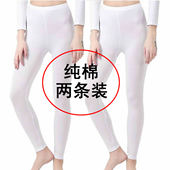 弹力棉毛裤 打底裤 薄款 修身 女士纯棉秋裤 单条衬裤 单件紧身保暖线裤