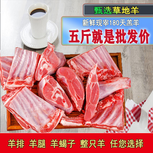 内蒙羊肉羊排羊腿新鲜非宁夏滩羊烤全羊整只现杀羊酮体团建食材