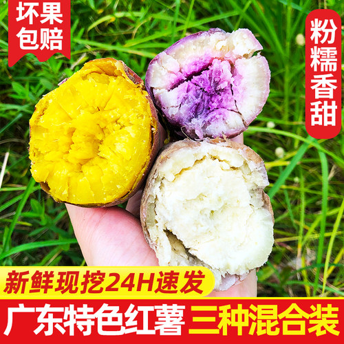 冰淇淋+爆皮王+板栗红薯混合装