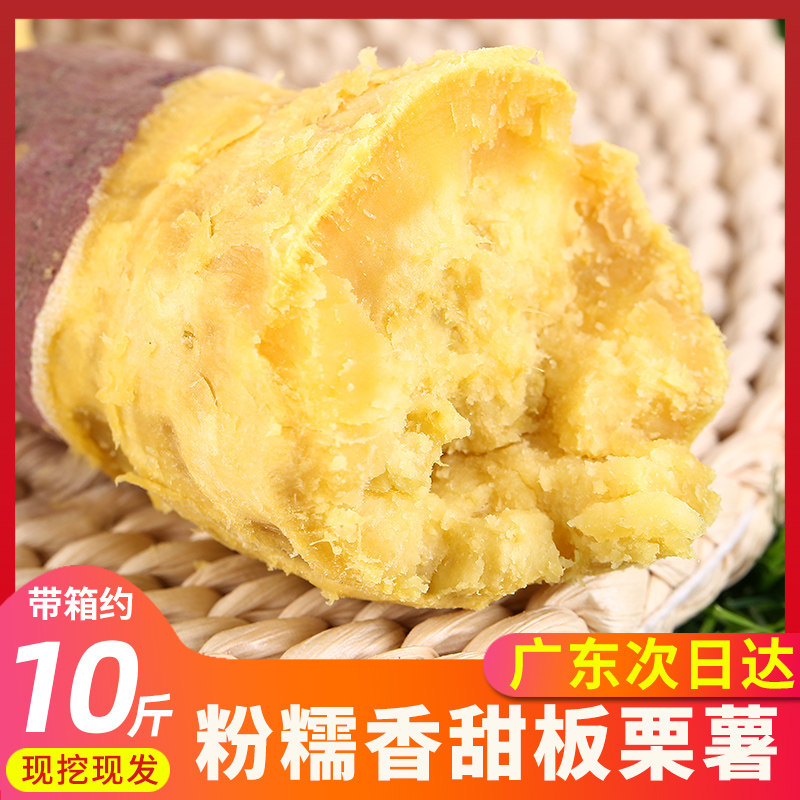 现挖板栗红薯 香粉新鲜沙地栗子番薯 农家自种黄心鸡蛋黄地瓜10斤|msdalam kategori daging perikanan/Buah-buahan segar dan sayur-sayuran/dimasak, sayur-sayuran segar/Vegetable Products, sayur-sayuran segar, ubi keledek - dari Buy2taobao.com untuk memberikan perkhidmatan ejen Taobao profesional membeli