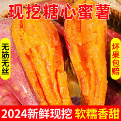 新鲜现挖红薯糖心蜜薯正宗湛江沙地西瓜红番薯无筋无丝超甜烤地瓜
