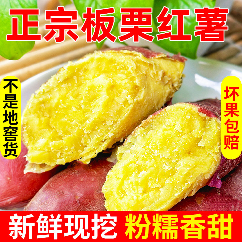 板栗红薯新鲜现挖现发栗子王番薯正宗黄心农家自种广东粉糯地瓜