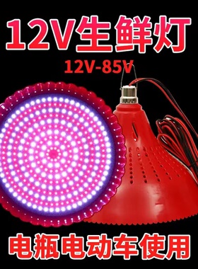 12V24V48V地摊灯夜市低压电瓶灯生鲜灯猪肉灯水果熟食灯红光变色