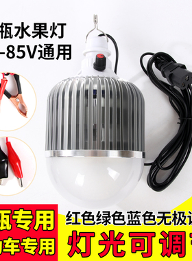 12V伏调色水果灯led生鲜灯低压电瓶电动车48V60摆摊变色水果灯泡
