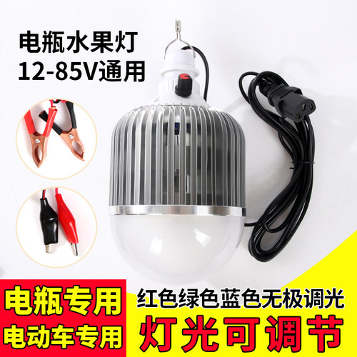 12V/48V/60V可调色水果灯泡