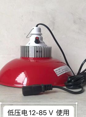 12V24V48V地摊灯夜市灯低压电瓶灯水果生鲜灯猪肉熟食灯红光变色