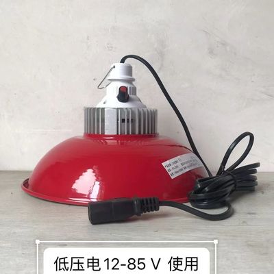 12V24V48V地摊灯夜市灯低压电瓶灯水果生鲜灯猪肉熟食灯红光变色