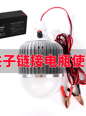 12V伏灯led灯低压电瓶电动车48V60摆摊灯泡