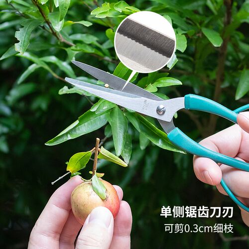 日本ECHO园艺剪刀花剪加长防滑修枝剪家用园林工具树枝花艺剪刀