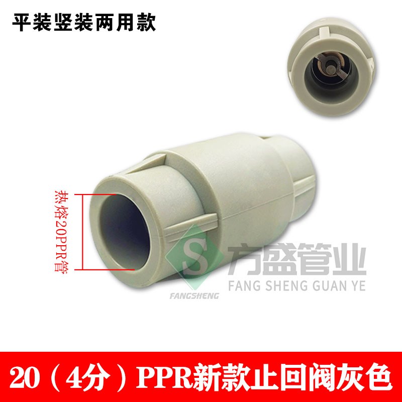 PPR止回阀逆止阀单向阀防倒流4分6分料配件高压热熔家用家装
