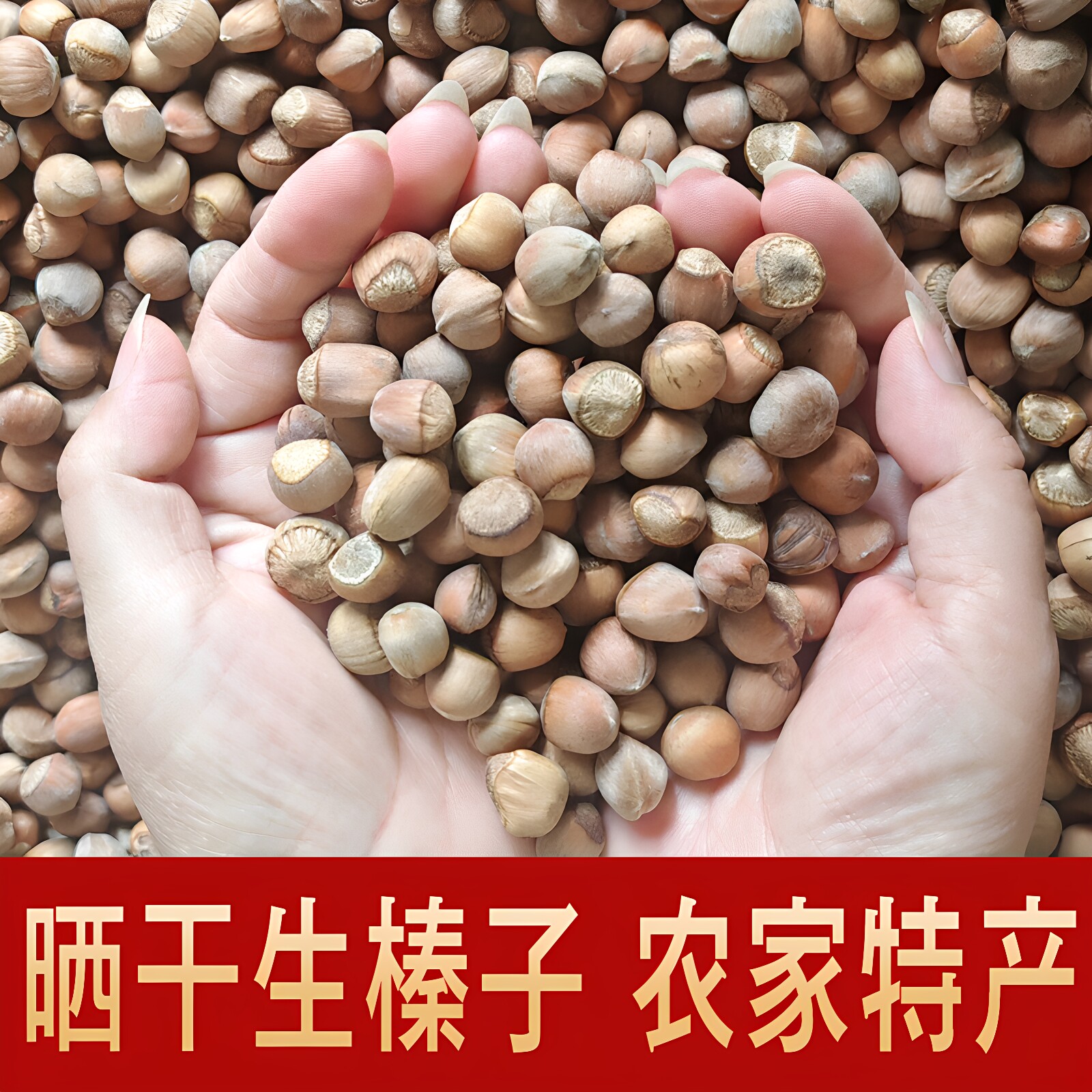 新货生榛子东北特产铁岭山货坚果小果生果晒干大满仁新鲜包邮