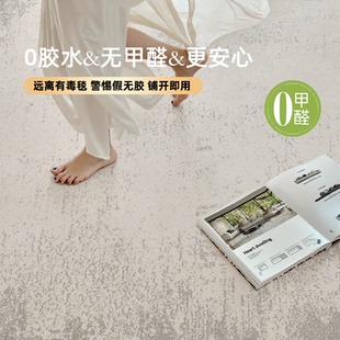 免打理卧室床边毯 无胶防水地毯客厅高级家用0甲醛沙发毯2025新品