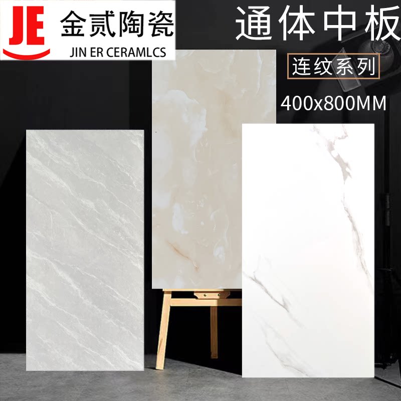 400x800内墙瓷片简约连纹客厅