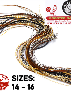 10条装 精选干式飞蝇绑制蓑羽鞍羽rooster saddle 14#16#毛钩专用