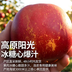 西藏林芝高原红钻冰糖心苹果2025新鲜水果当季脆甜水果产地直发