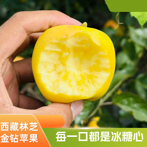林芝金钻维纳斯苹果2025新鲜水果