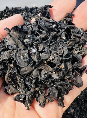 西藏亚东野生精选黑木耳天然干货菌菇高品质 干木耳食用菌新货