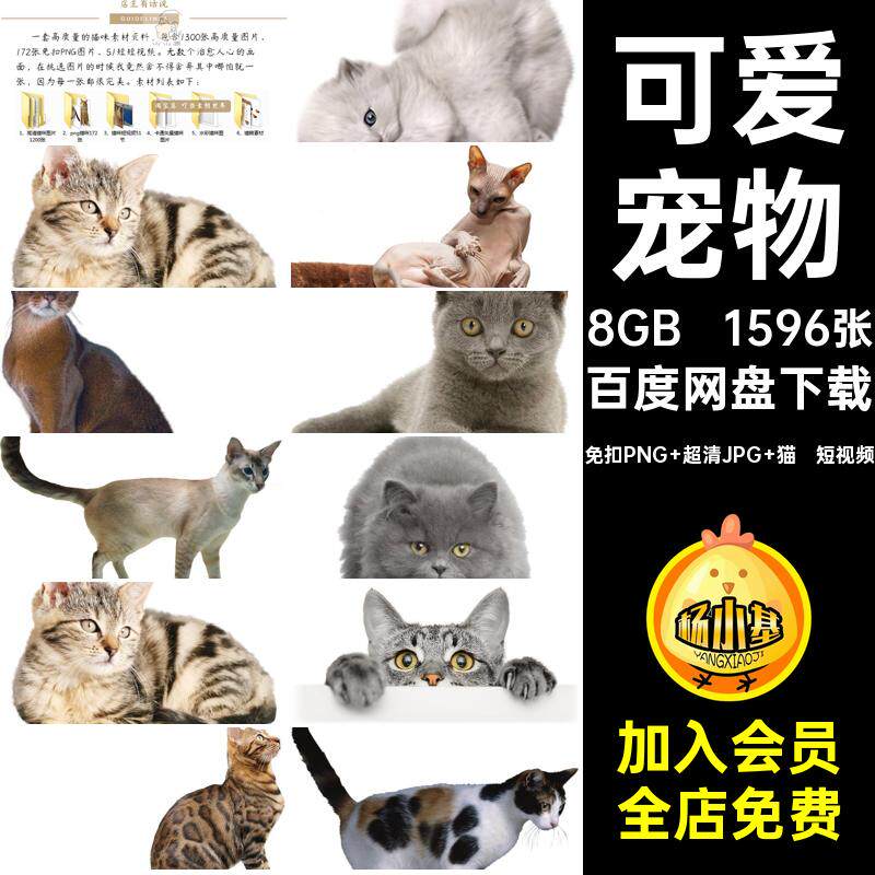 1596张可爱宠物图库画册免图片海报动物猫咪高清PNG小杂志4K扣