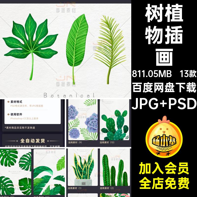 热带植物插画背景树图案清新13款绿色花模板PSD棕榈简约海报叶子