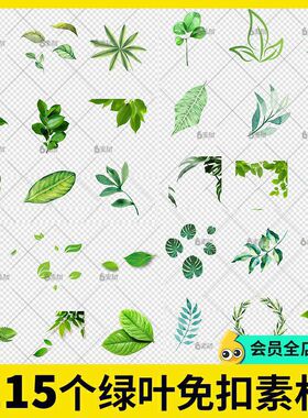 绿色树叶绿叶子春季踏青树枝图片边框春天植树节png免扣背景素材