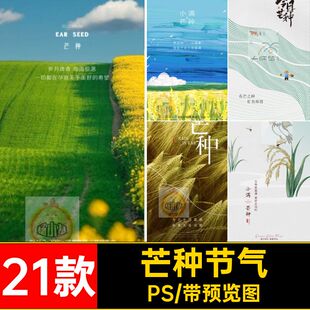 二十四节气小暑创意丰收PS简约海报21款小满芒种中国风小满芒种