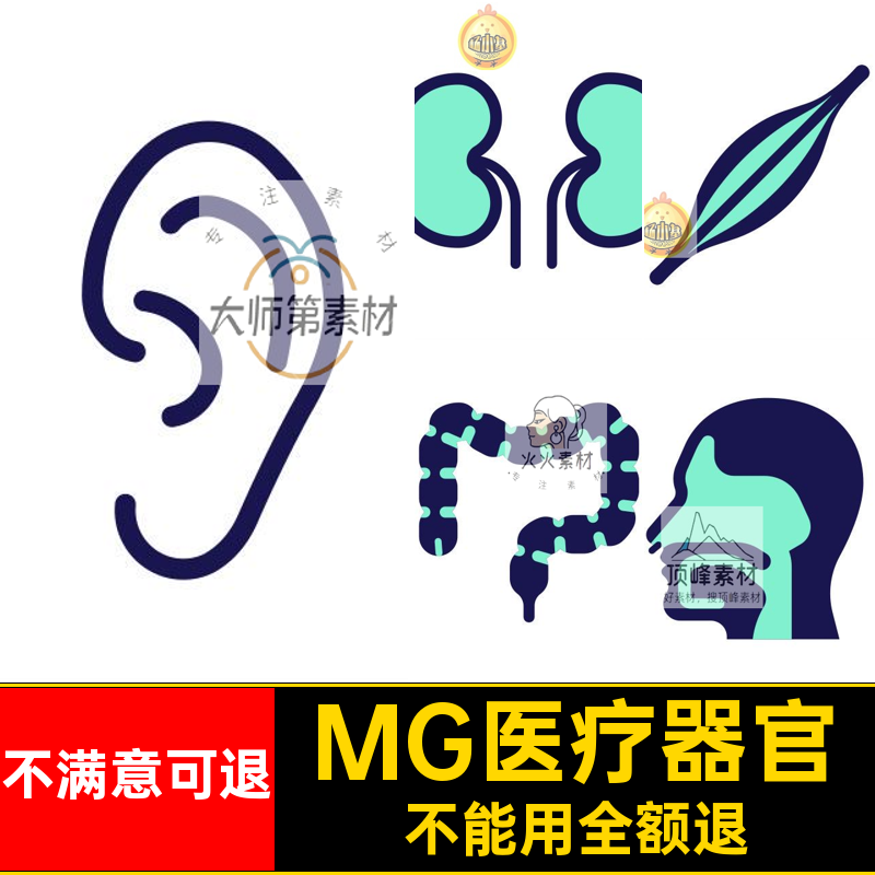 MG医疗器官肠胃透明卡通AE素材MOVGIF心脏源文件人体器官动态动画