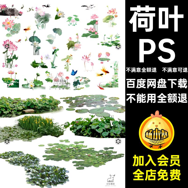 荷叶PSD平后期效果图平面素材水生植物睡莲扣池塘莲花免彩荷花
